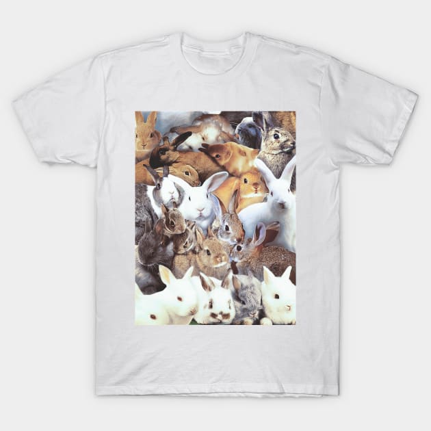 Rabbits T-Shirt by MaxencePierrard